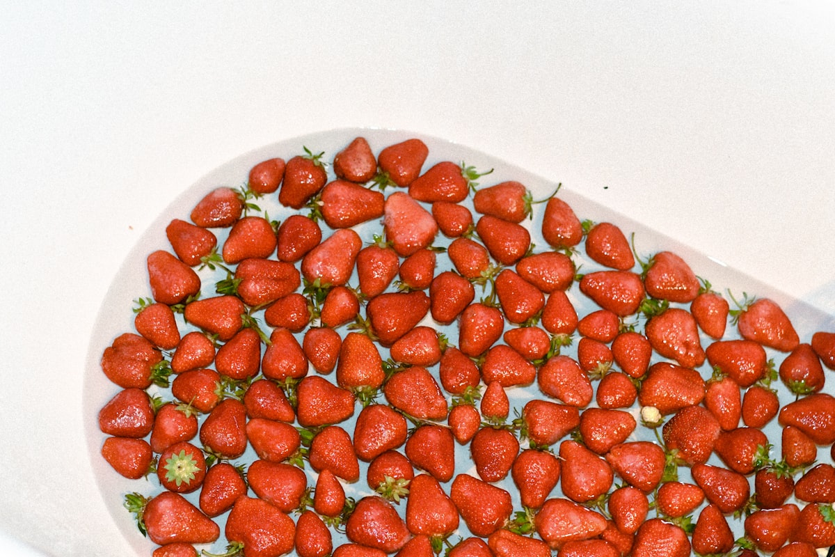 Frische und sichere Lebensmittel zur Parasitenprophylaxe